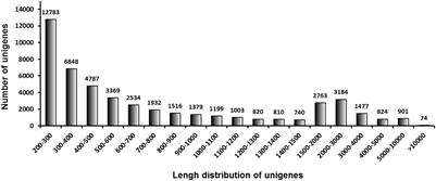 Midgut Transcriptional Variation of Chilo suppressalis Larvae Induced by Feeding on the Dead-End Trap Plant, Vetiveria zizanioides